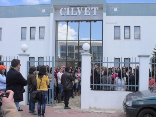 cilvet